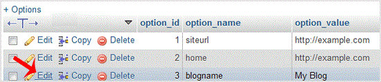 wp-table-edit.gif